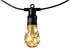 Avide 952901 Svetlobna veriga Papaya LED 6W 5m 10 žarnic IP44